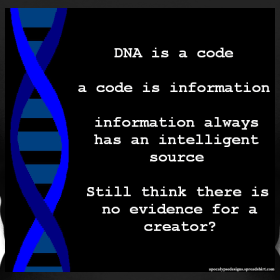 dna-code_design