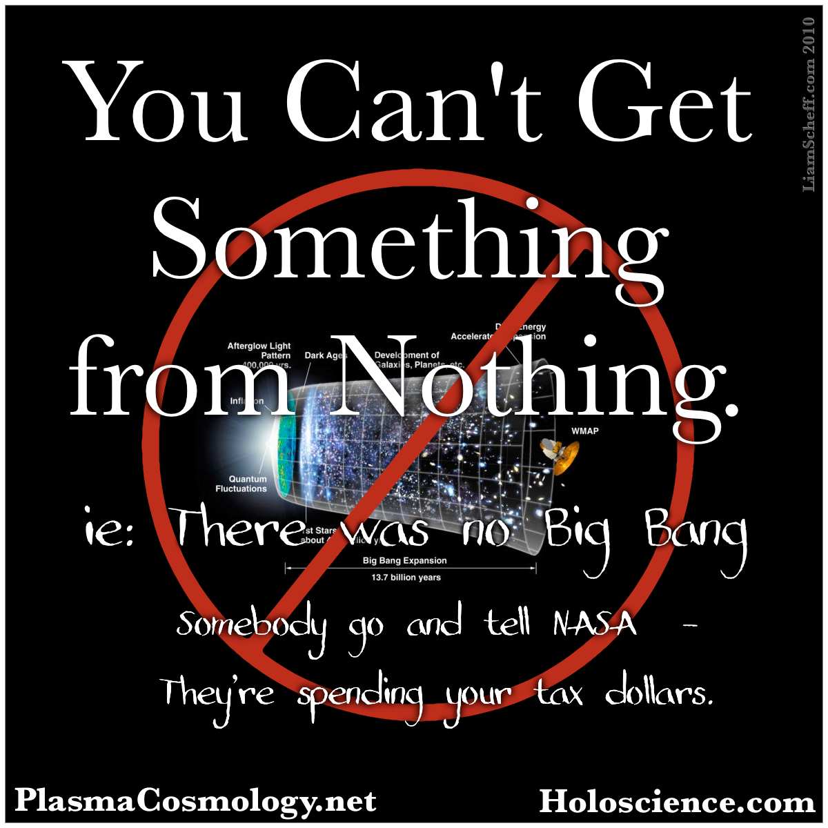 You-Cant-Get-Something-From-Nothing-by-Liam-Scheff-2010.jpg
